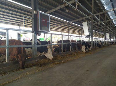 唐河縣 產業賦能鄉村振興 畜牧漁業飼料銷售新篇章