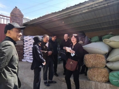 全國畜牧總站深入尋甸開展調(diào)研，共繪現(xiàn)代畜牧業(yè)與飼料銷售新藍(lán)圖