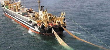 探秘‘海洋巨獸’ 造價四億的世界最大漁船，萬噸漁獲背后的畜牧漁業飼料銷售鏈